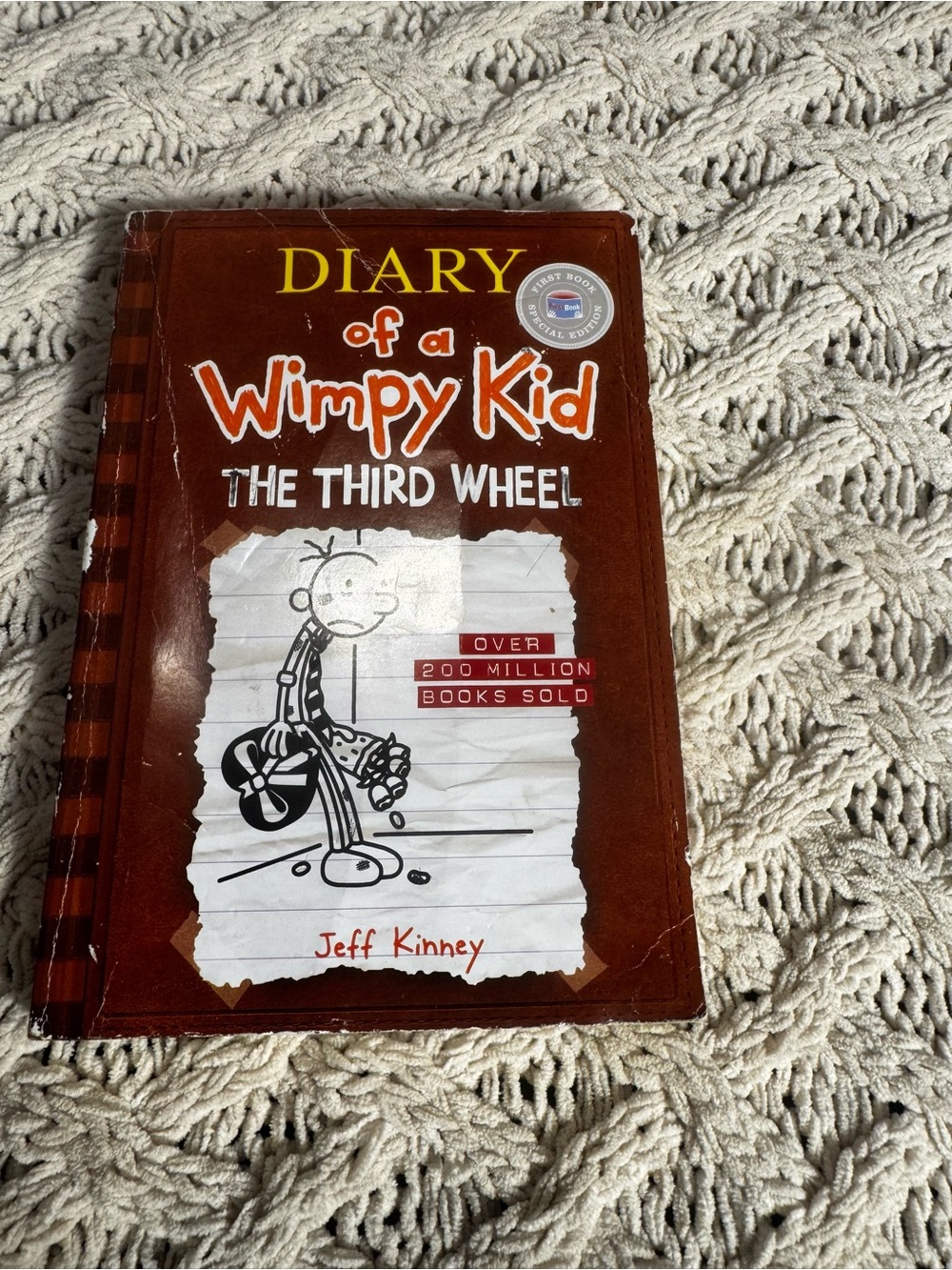 Diary of a Wimpy Kid: The Third Wheel - Brown Edition by